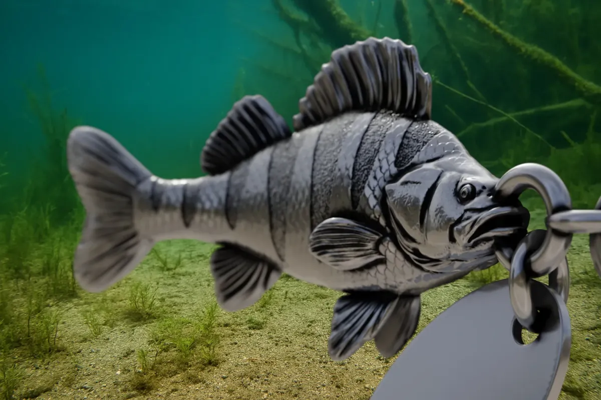 Okoń